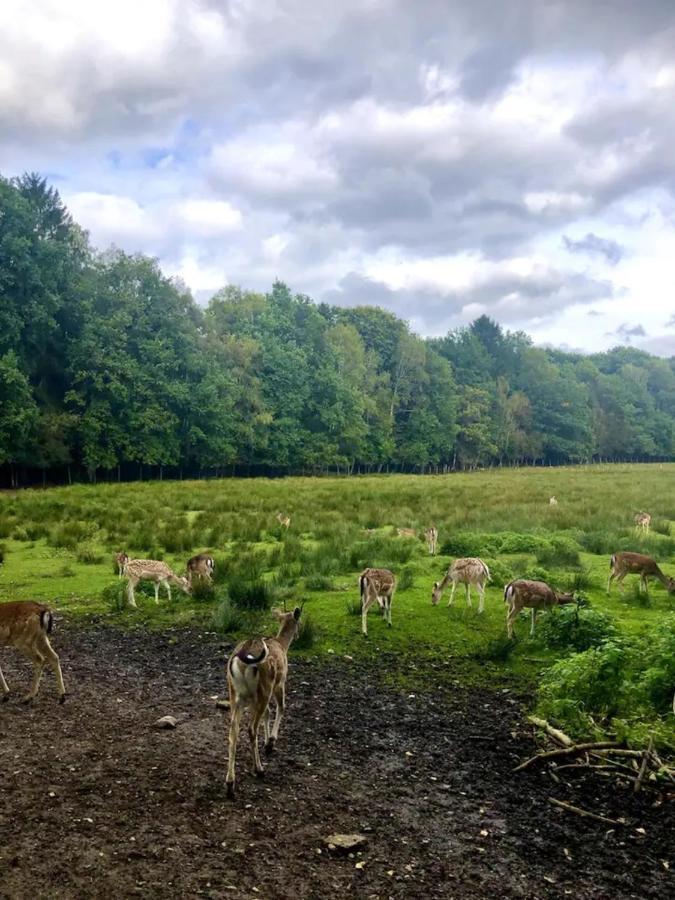 De Bosdreef - Hengelhoef - Duplex Met Verwarmd Openluchtzwembad * Aan de Wolfsberg